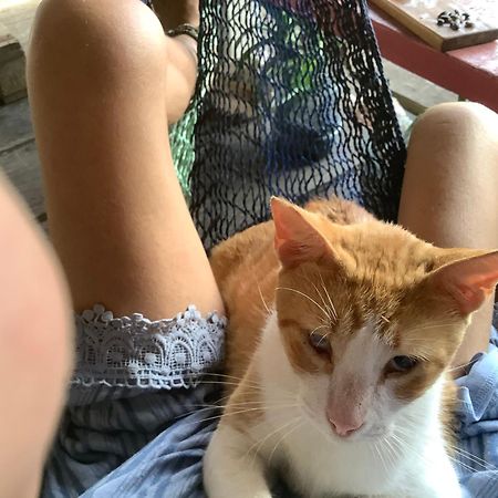 Life Is Good Villa Бокас дел Торо Екстериор снимка